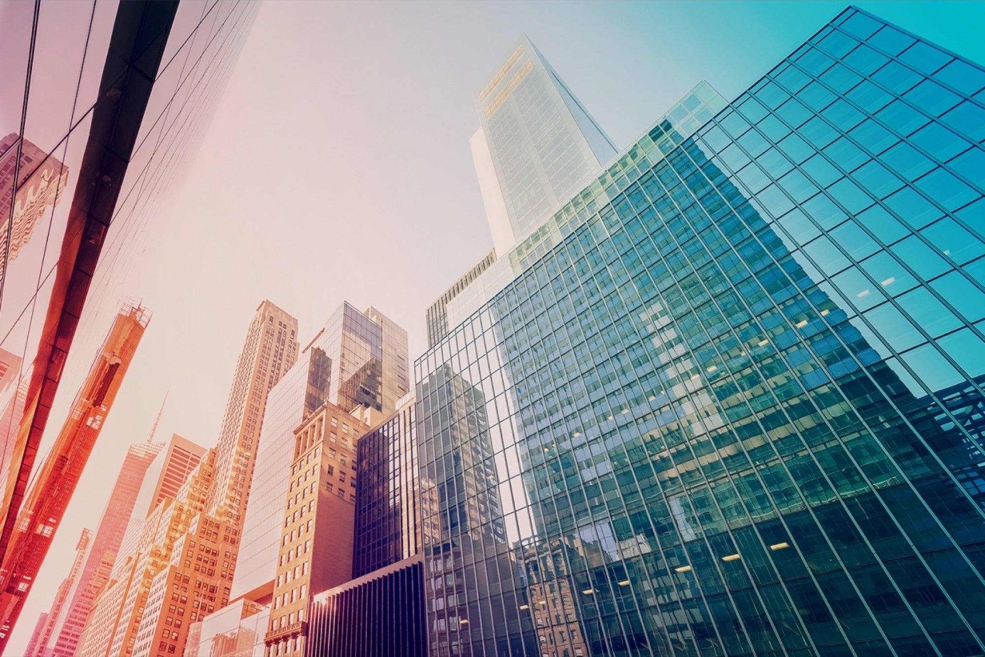 وزارة العدل