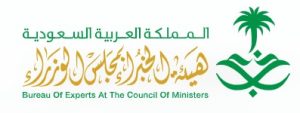 هيئة الخبراء بمجلس الوزراء 300x113